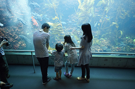 一家四口在水族馆观光图片