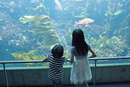 姐弟俩在水族馆观光图片