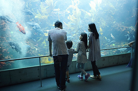 一家四口在水族馆观光图片