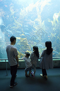 一家四口在水族馆观光图片