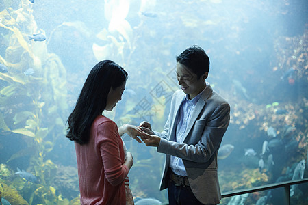 海洋水族馆约会求婚的情侣图片