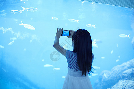 海洋水族馆拍照的小女孩图片