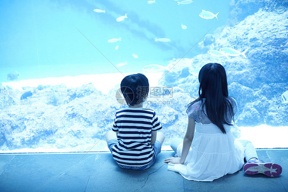 海洋水族馆玩耍的姐弟图片