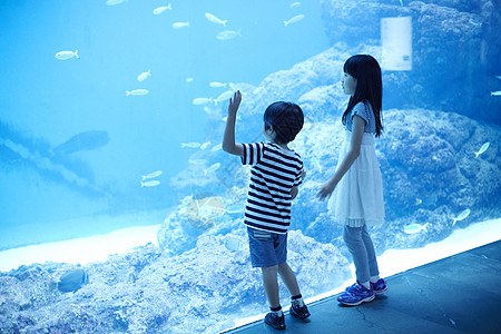 海洋水族馆玩耍的姐弟图片