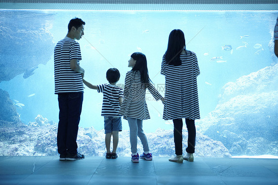 参观海洋水族馆的家庭图片