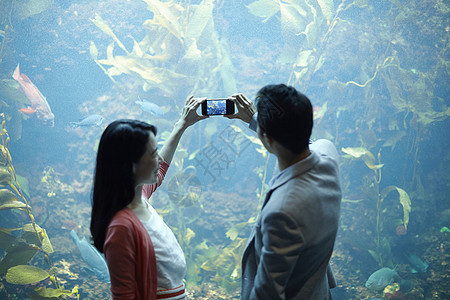 海洋水族馆约会拍照的情侣图片