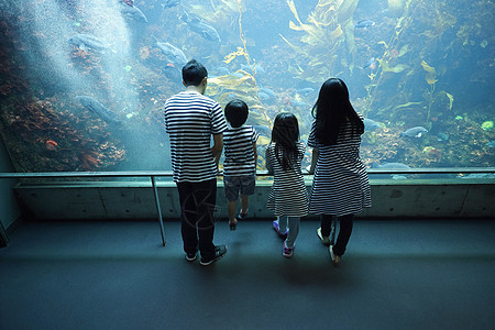 参观海洋水族馆的家庭图片