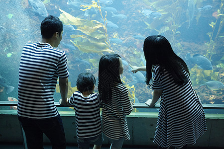 参观海洋水族馆的家庭图片