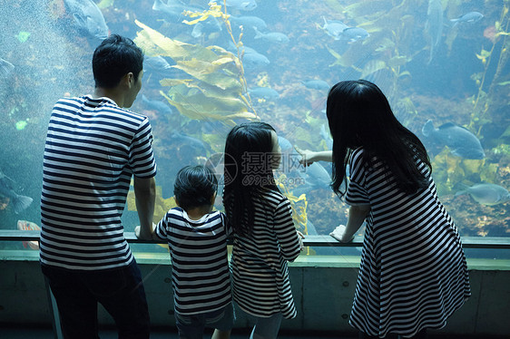 参观海洋水族馆的家庭图片