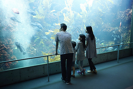 参观海洋水族馆的家庭图片