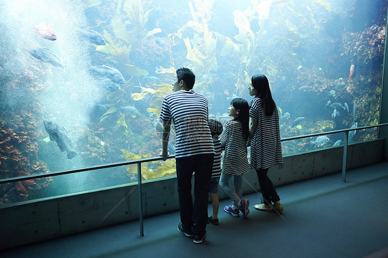 参观海洋水族馆的家庭图片