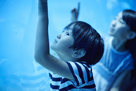 海洋水族馆观光的小男孩图片