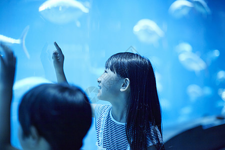 海洋水族馆观光的小女孩图片