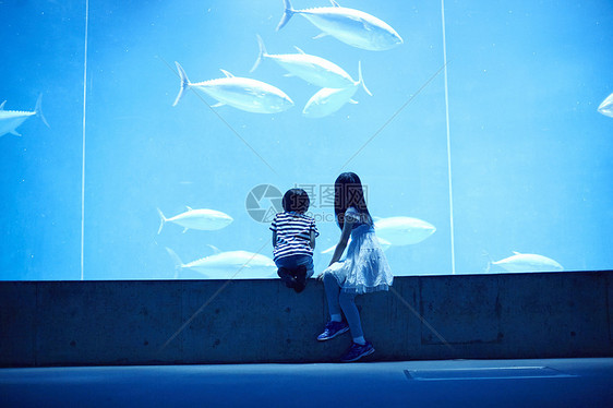 水族馆看鱼的姐弟图片