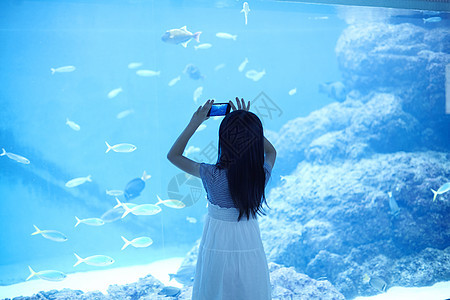 水族馆看鱼的小女孩图片