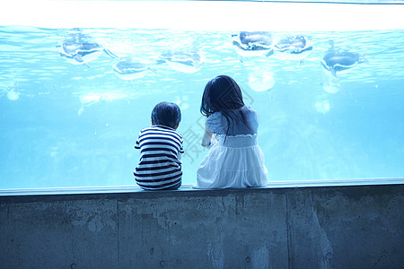 水族馆看鱼的姐弟图片