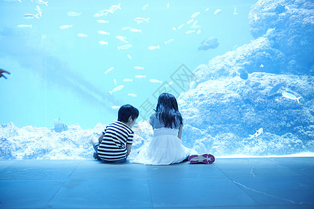 大海希望水族馆看鱼的姐弟背景