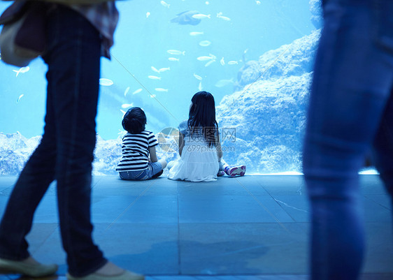 参观水族馆的兄妹的背影图片