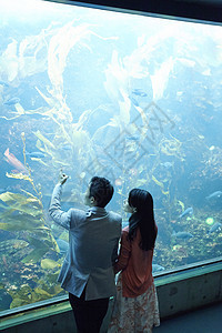 水族馆约会的情侣图片