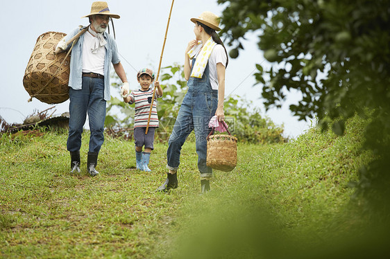 去乡村采摘农物的一家人图片