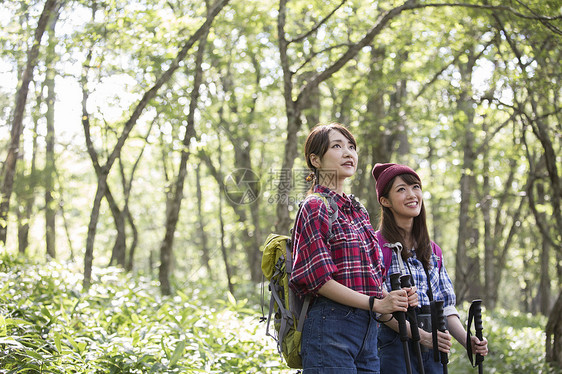 森林中徒步旅行的两名女性图片