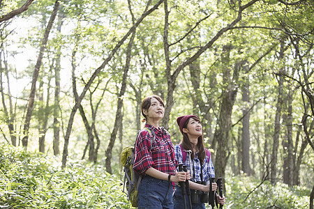 森林中徒步旅行的两名女性图片