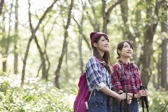 森林中徒步旅行的两名女性图片