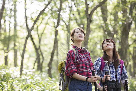 森林中徒步旅行的两名女性图片