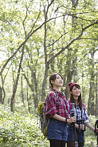 森林中徒步旅行的两名女性图片