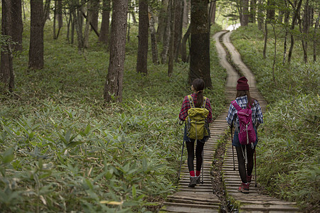 日照阳光生机勃勃女人徒步旅行图片