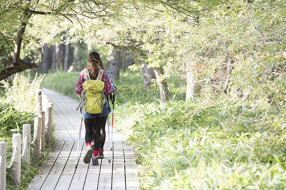 日照阳光生机勃勃女人徒步旅行图片