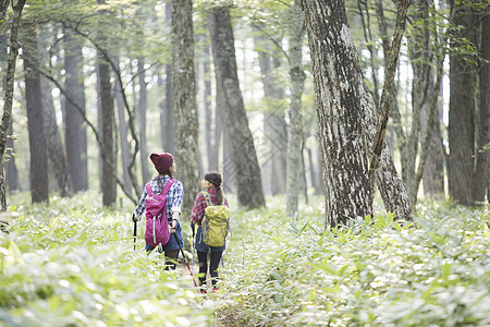 日照阳光生机勃勃女人徒步旅行图片