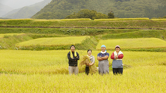 农民在田里收割小麦图片