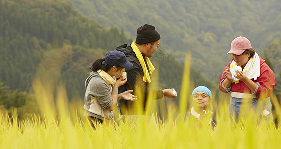 收割水稻过程中休息吃饭的农民图片
