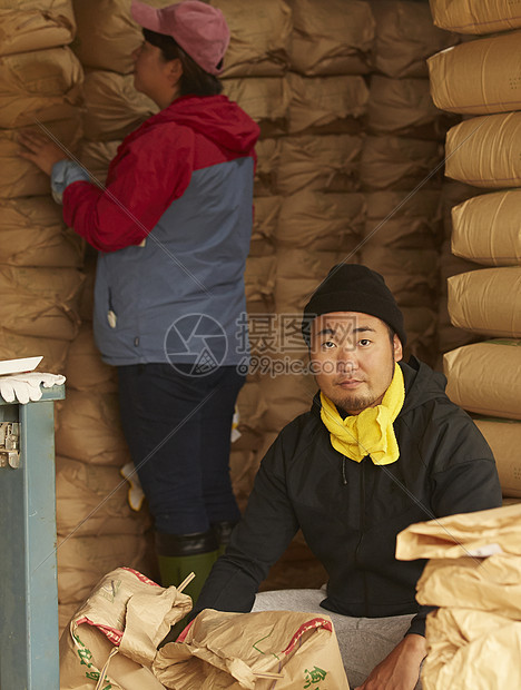 收获水稻的农民图片