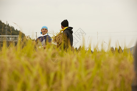 抱着稻子的农民形象图片