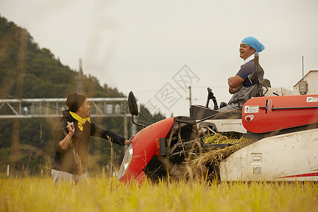 农民使用联合收割机收割水稻图片