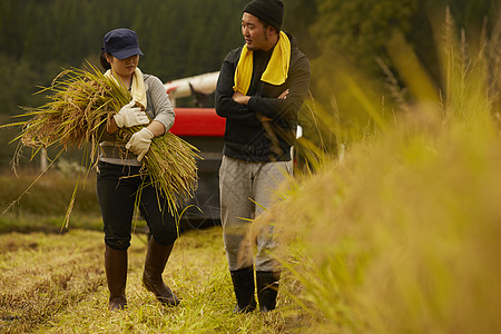 收货水稻的农民图片