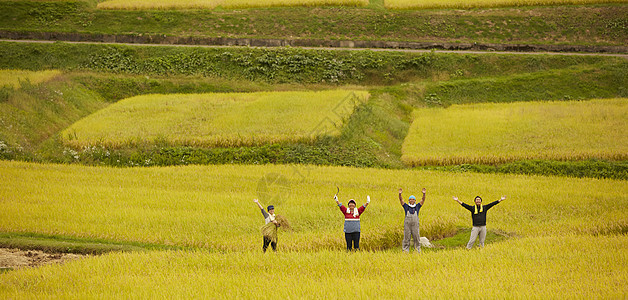 田间农民远景图片