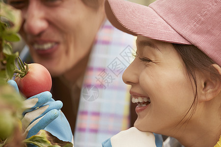 女人检查西红柿成熟情况图片