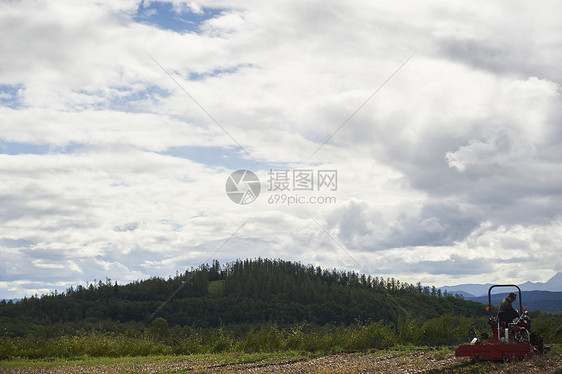 地区拉原野大农场菜的收获图象图片