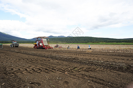 兼职工作地区驯养体验农业经验的年轻人图片素材