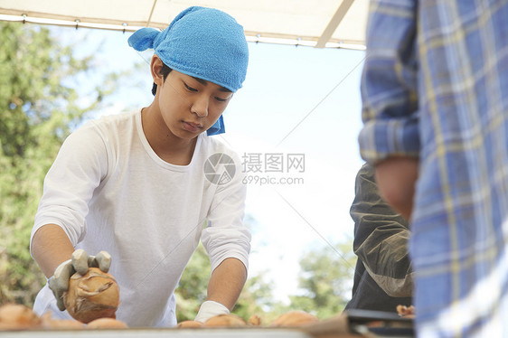 自然采光作品学生体验农业经验的年轻人图片