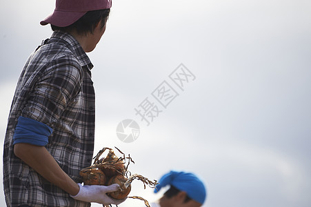 日本男人们男体验农业经验的年轻人背景图片