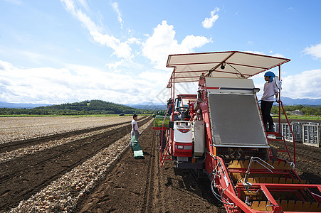 兼职工作收获男人们体验农业肖像的年轻人图片素材