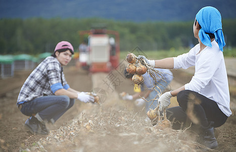 体验农业经验的年轻人图片