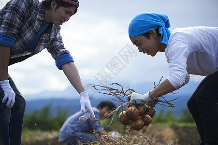 青年人体验农业种植图片