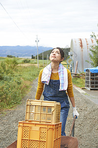 女人在田间小路上推着独轮车图片