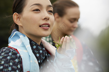 采茶女在采摘茶叶图片