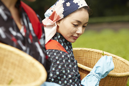  采茶女图片